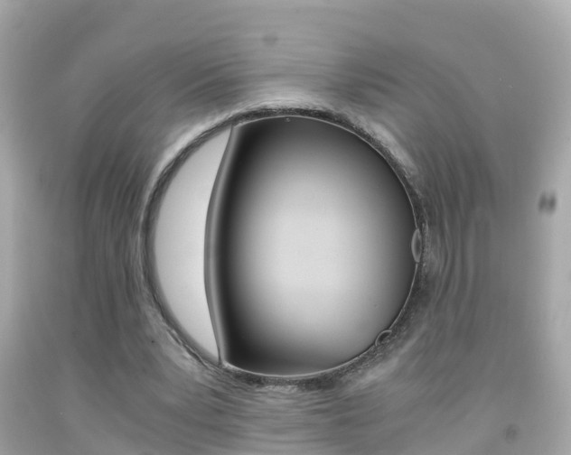 X0000091860391200709051001