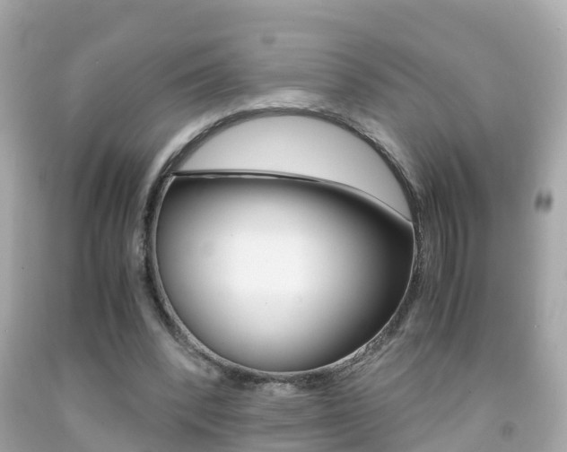X0000091860392200709051001