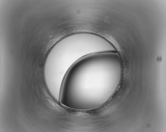 X0000091860393200709051001
