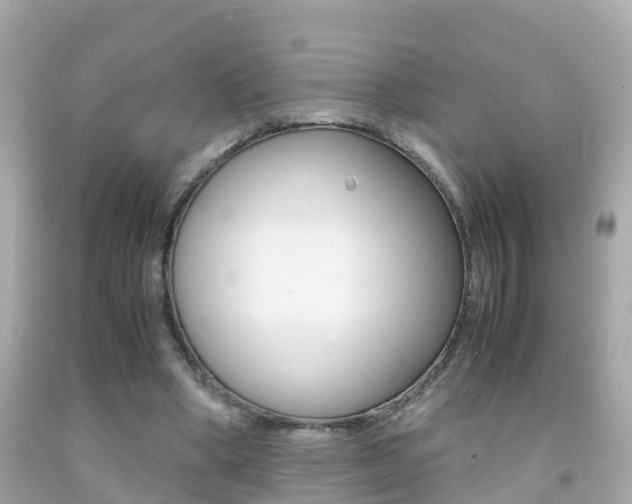 X0000091860394200709051001