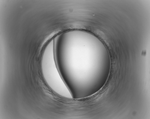 X0000091860395200709051001