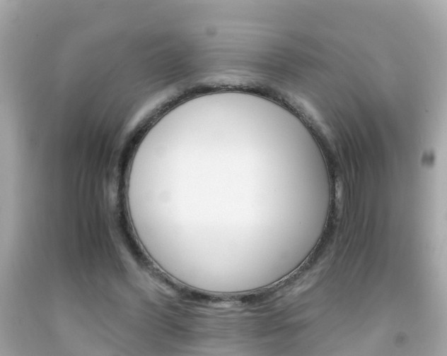 X0000091860396200709051001