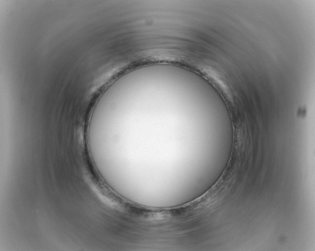 X0000091860398200709051001