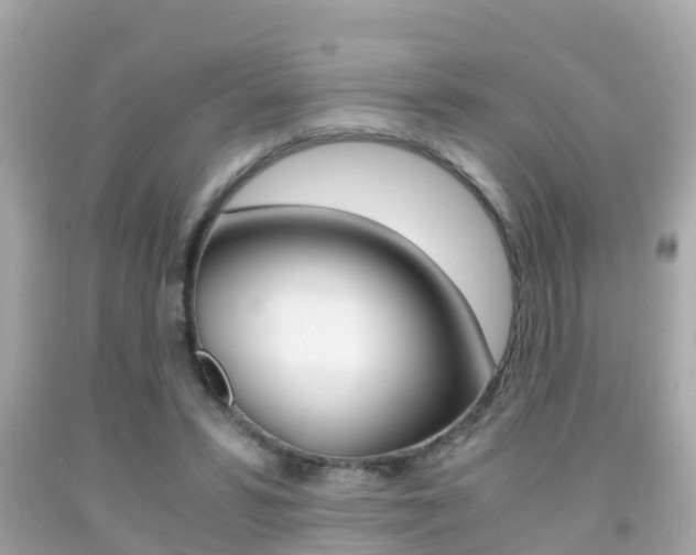 X0000091860399200709051001