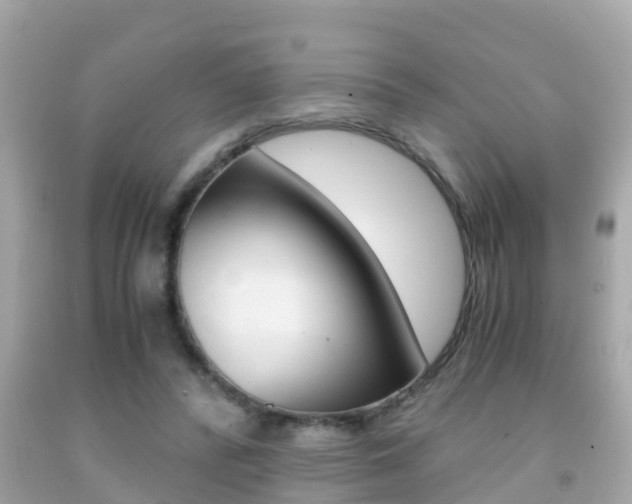 X0000091860400200709051001