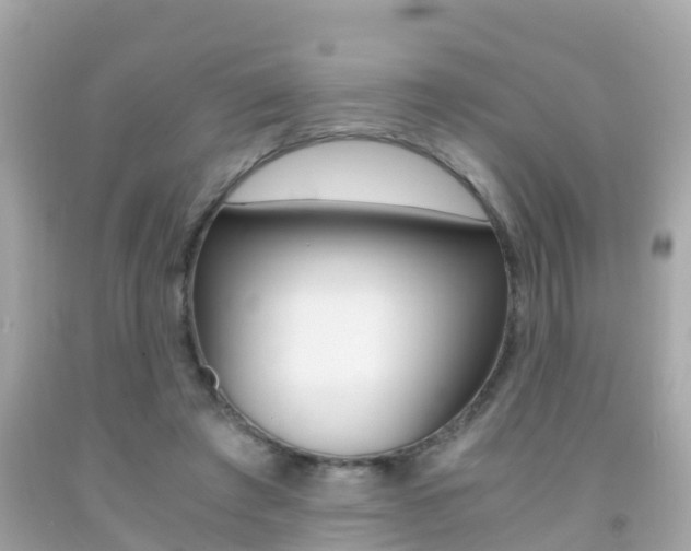 X0000091860401200709051001