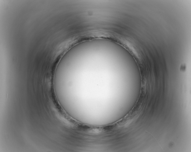 X0000091860402200709051001