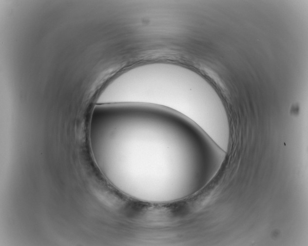 X0000091860403200709051001