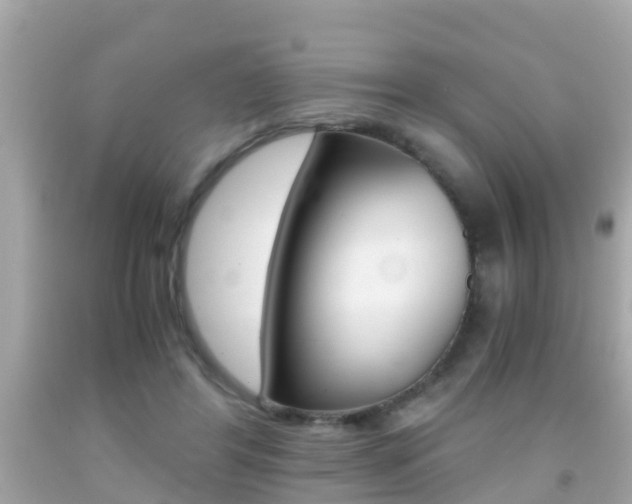 X0000091860404200709051001