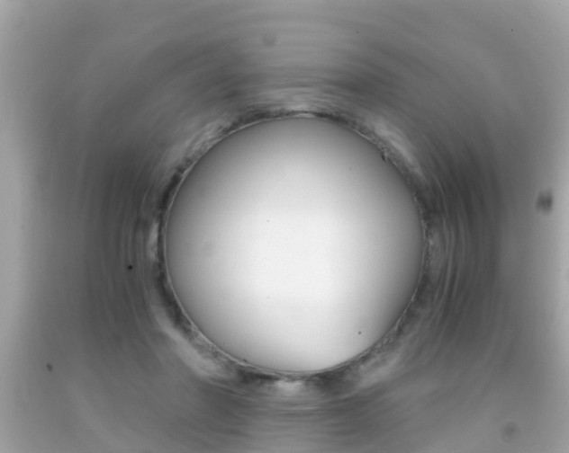 X0000091860406200709051001