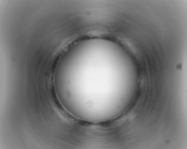 X0000091860408200709051001