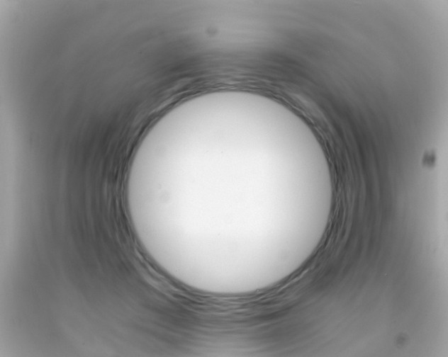 X0000091860409200709051001