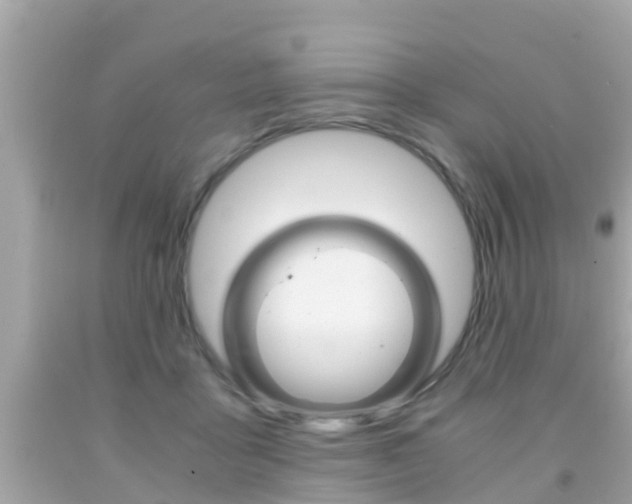 X0000091860411200709051001