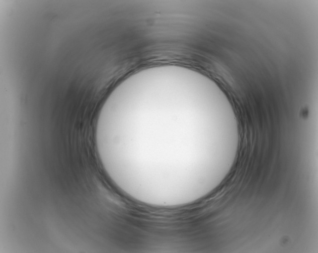 X0000091860412200709051001