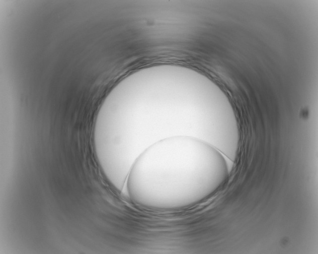 X0000091860413200709051001