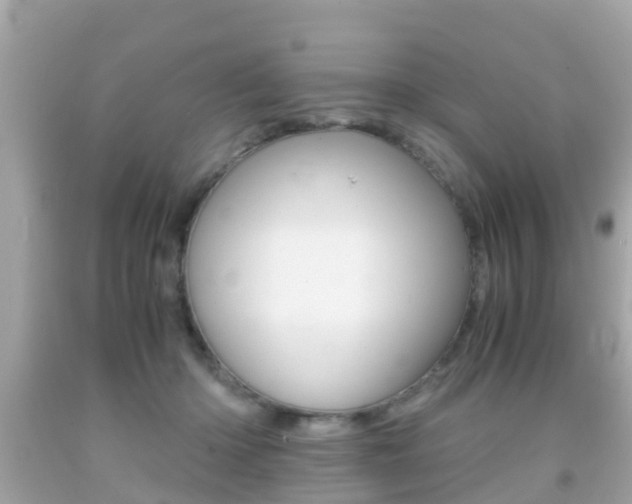 X0000091860414200709051001