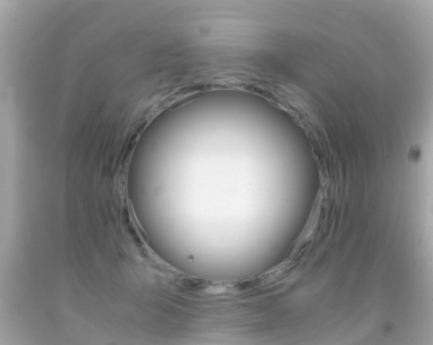 X0000091860415200709051001