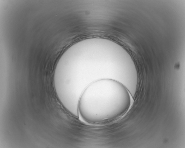 X0000091860417200709051001
