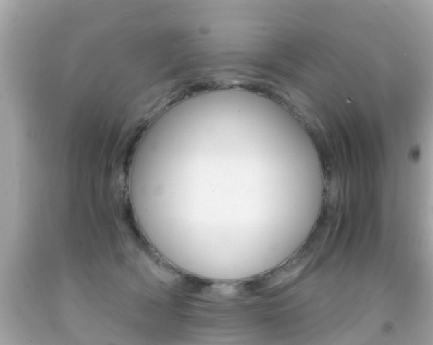 X0000091860418200709051001