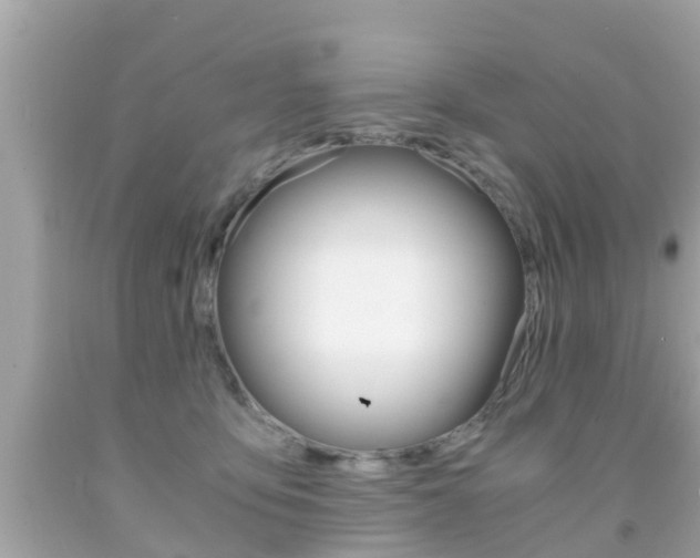 X0000091860419200709051001