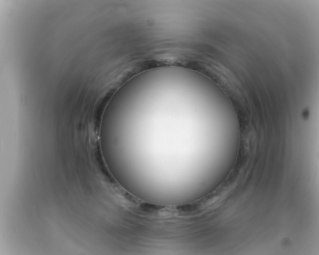 X0000091860420200709051001