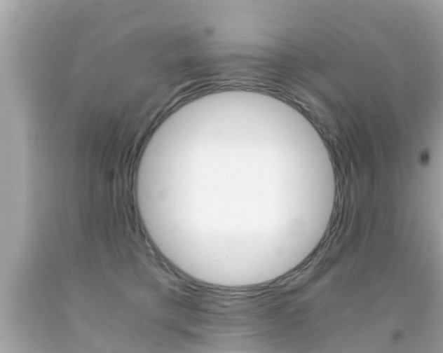 X0000091860421200709051001