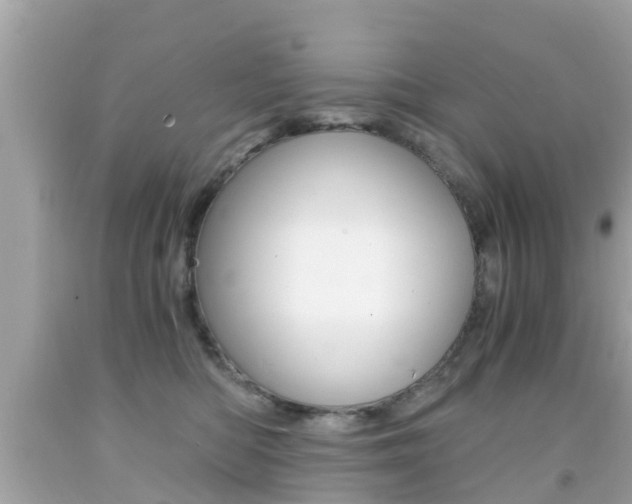 X0000091860422200709051001
