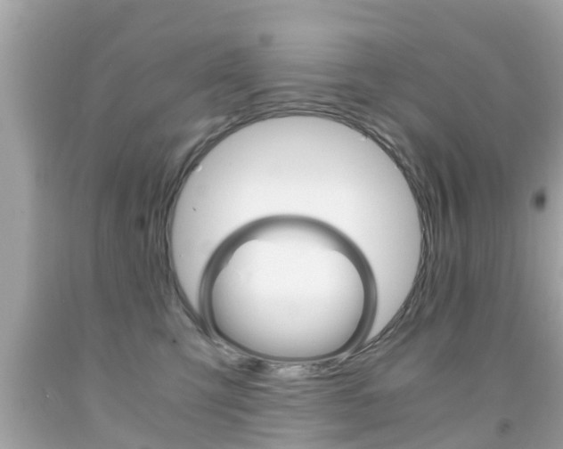 X0000091860423200709051001