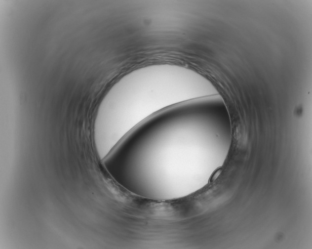 X0000091860424200709051001