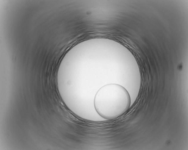 X0000091860425200709051001