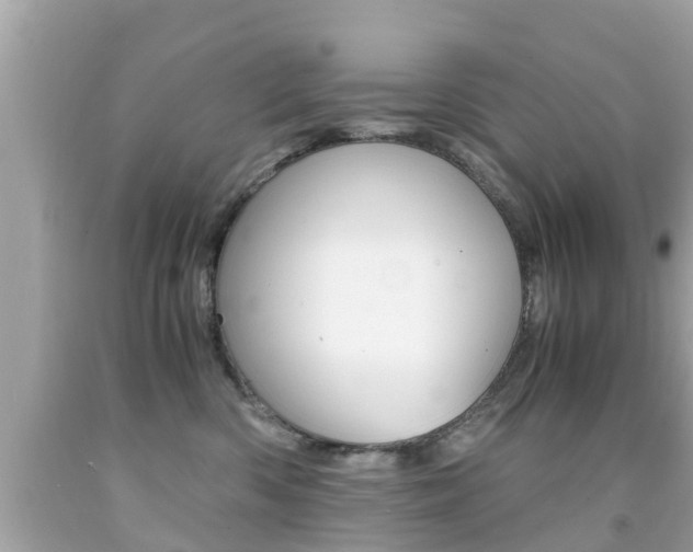 X0000091860426200709051001
