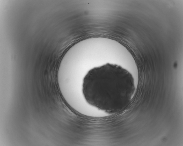 X0000091860428200709051001