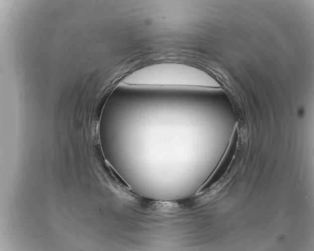 X0000091860429200709051001