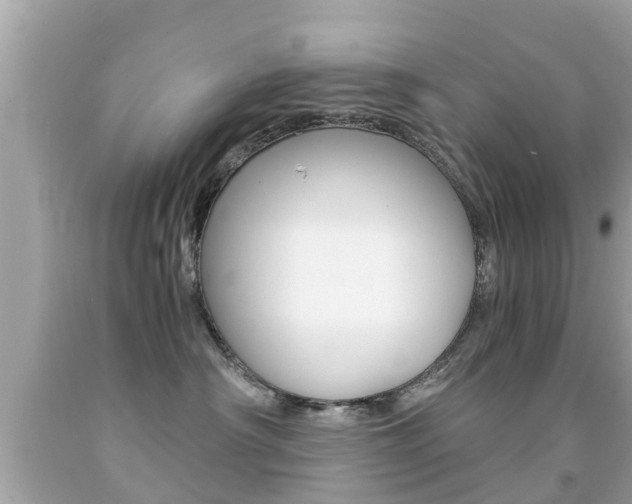 X0000091860430200709051001