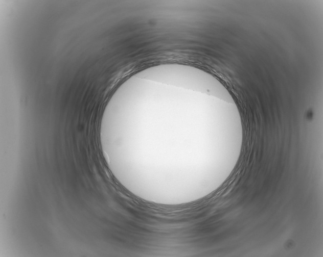X0000091860431200709051001