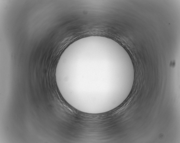 X0000091860432200709051001