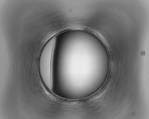 X0000091860433200709051000