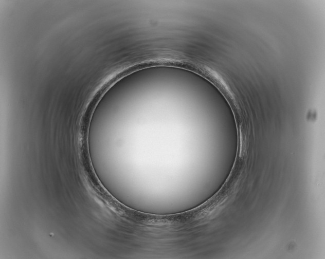 X0000091860435200709051000