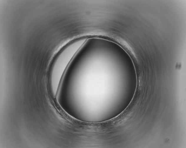 X0000091860436200709051000