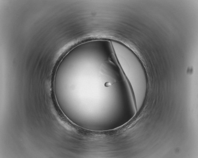 X0000091860438200709051000