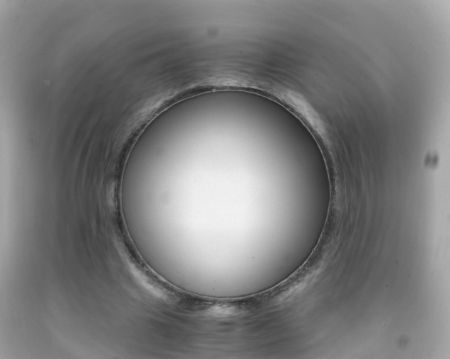 X0000091860441200709051000