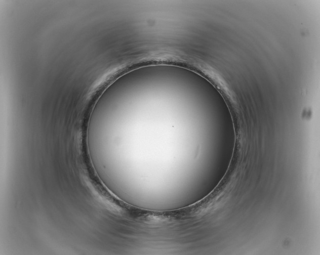 X0000091860442200709051000