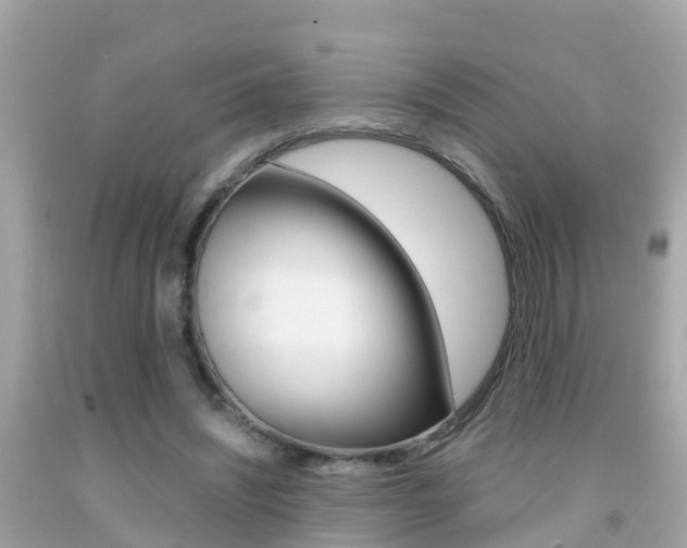 X0000091860444200709051000