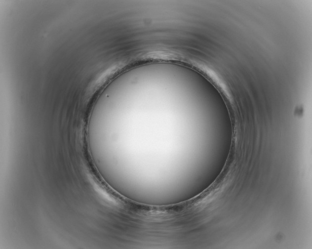 X0000091860445200709051000