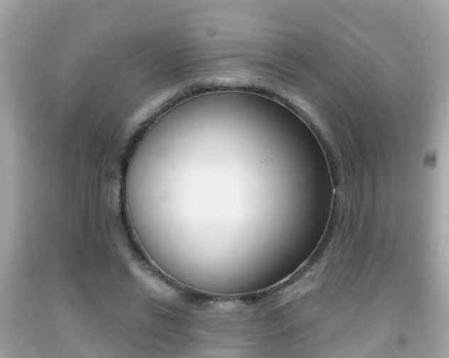 X0000091860446200709051000