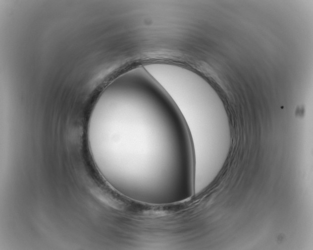 X0000091860448200709051000