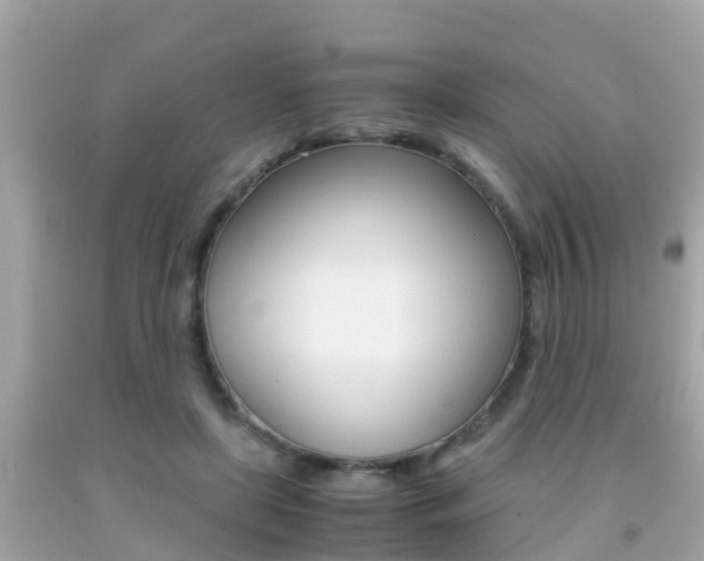 X0000091860451200709051000