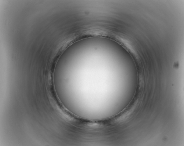 X0000091860453200709051000