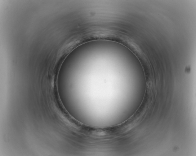 X0000091860454200709051000