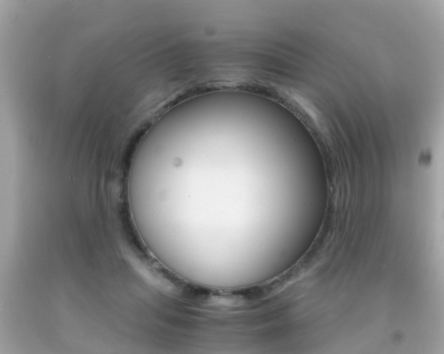 X0000091860455200709051000